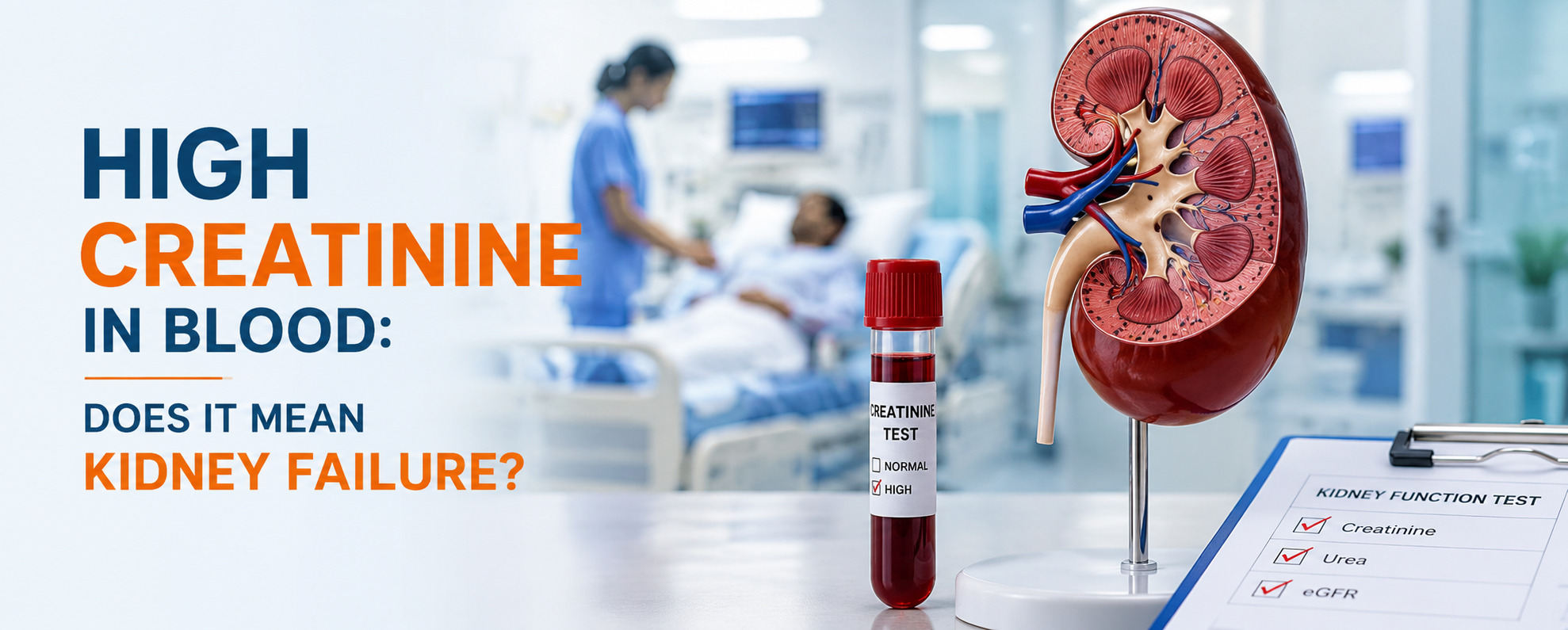 High Creatinine in Blood: Does It Mean Kidney Failure?